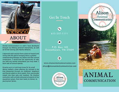 Alison Animal Communication