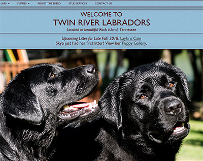 Twin River Labradors Website